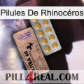 Pilules De Rhinocéros 41